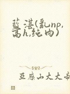 蓝湛(乱np,高h,纯肉)