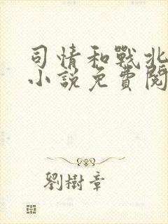 司情和战北霆的小说免费阅读