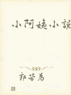 小阿姨小说