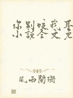 你别咬我耳朵呀小说全文免费阅读封面