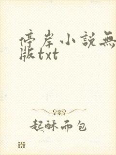 停岸小说无删减版txt