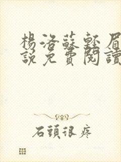 杨洛苏轻眉笔小说免费阅读封面