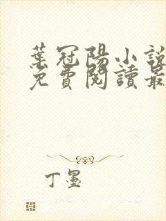 叶冠阳小说全文免费阅读最新章节