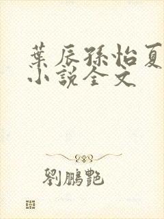 叶辰孙怡夏若雪小说全文