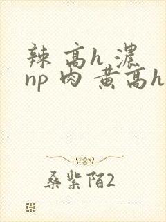 辣 高h 浓 np 肉 黄高h