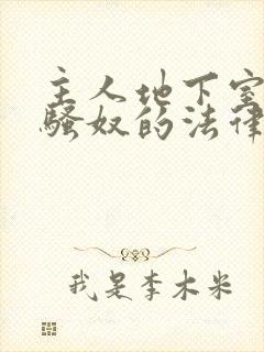 主人地下室惩罚骚奴的法律后果封面