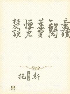 楚恒叶知意的小说免费阅读无弹窗封面