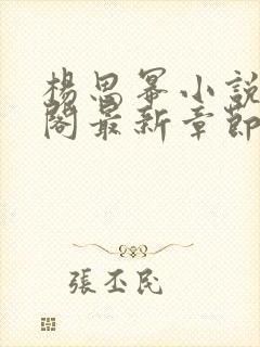 杨思幂小说笔趣阁最新章节封面