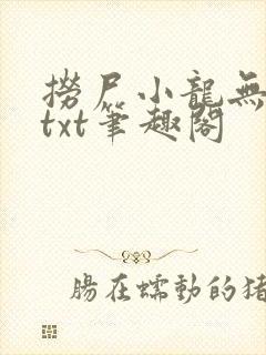 捞尸小龙无弹窗txt笔趣阁