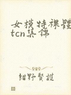 女模特裸体metcn集锦封面