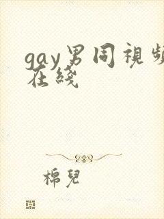 gay男同视频在线