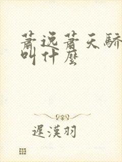 萧逸萧天骄小说叫什么