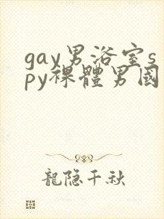 gay男浴室spy裸体男国产封面