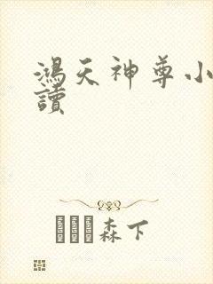 鸿天神尊小说阅读封面