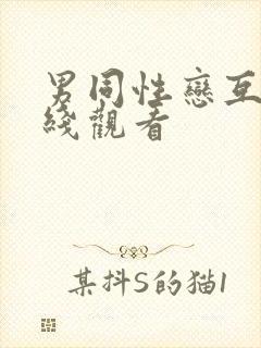 男同性恋互操在线观看