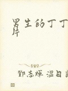 男生的丁丁的图片