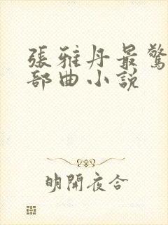 张雅丹最惊艳三部曲小说