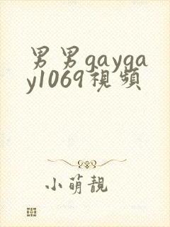 男男gaygay1069视频