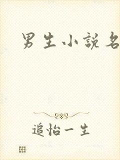 男生小说名字