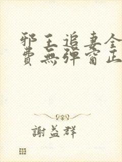 邪王追妻全文免费无弹窗正版