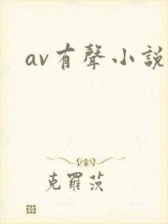 av有声小说