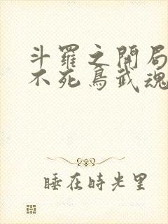 斗罗之开局觉醒不死鸟武魂封面