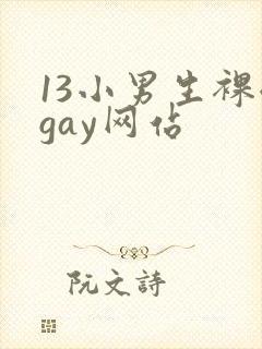 13小男生裸体gay网站封面