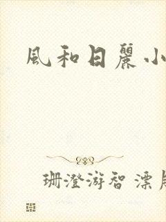 风和日丽小说
