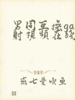 男同互操gay射视频在线看网站