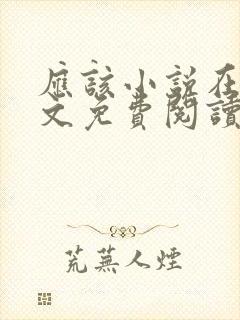 应该小说在线全文免费阅读