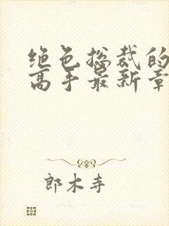 绝色总裁的超级高手最新章