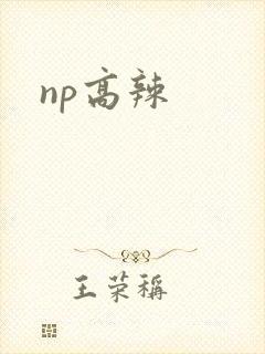 np高辣
