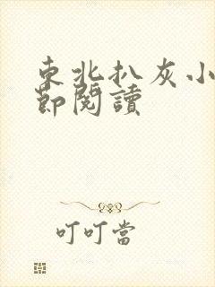 东北扒灰小说分节阅读