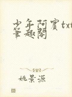 少年阿宾txt笔趣阁
