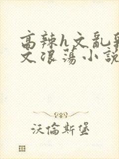 高辣h文乱乳h文浪荡小说苏柔封面