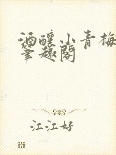 酒酿小青梅po笔趣阁