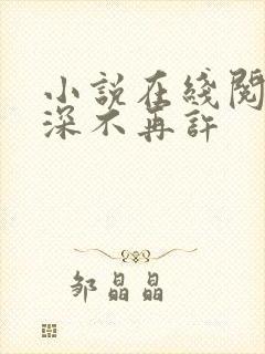 小说在线阅读情深不再许封面