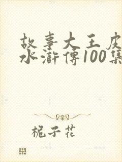 故事大王皮皮讲水浒传100集