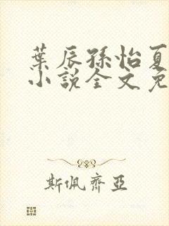 叶辰孙怡夏若雪小说全文免费阅读