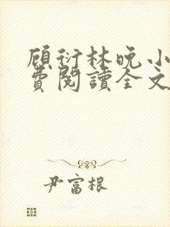 顾衍林晚小说免费阅读全文最新章节更新