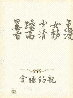 暴躁少女免费观看高清动漫版