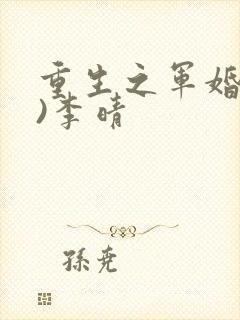 重生之军婚(h)李晴