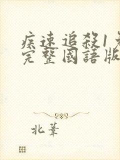 疾速追杀1免费完整国语版