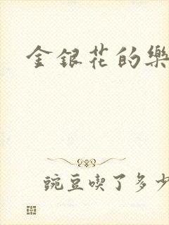 金银花的乐可封面