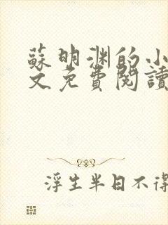 苏明渊的小说全文免费阅读无弹窗