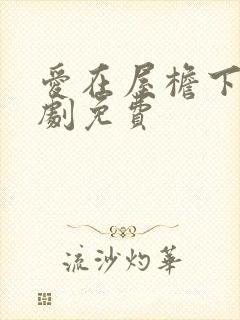 爱在屋檐下电视剧免费