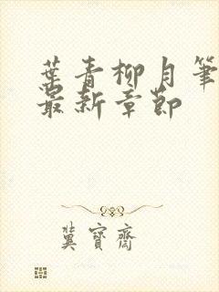 叶青柳月笔趣阁最新章节