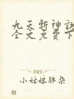 九天斩神诀林辰全文免费下载txt封面