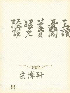 陆昭菱晋王的小说免费阅读