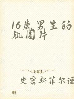 16岁男生的腹肌图片